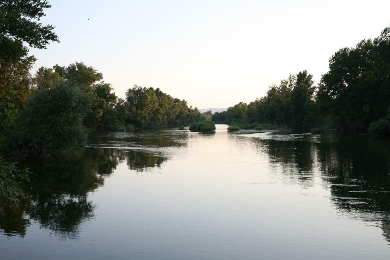 Gites Chateau De La Selve Grospierres Zewnętrze zdjęcie